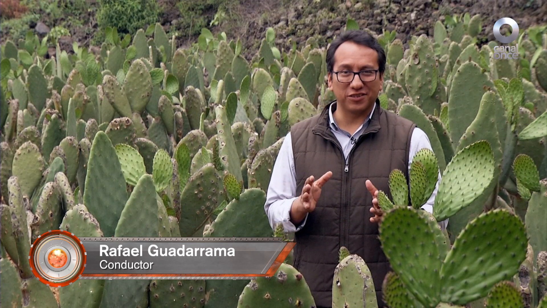 La Ciencia Del Nopal