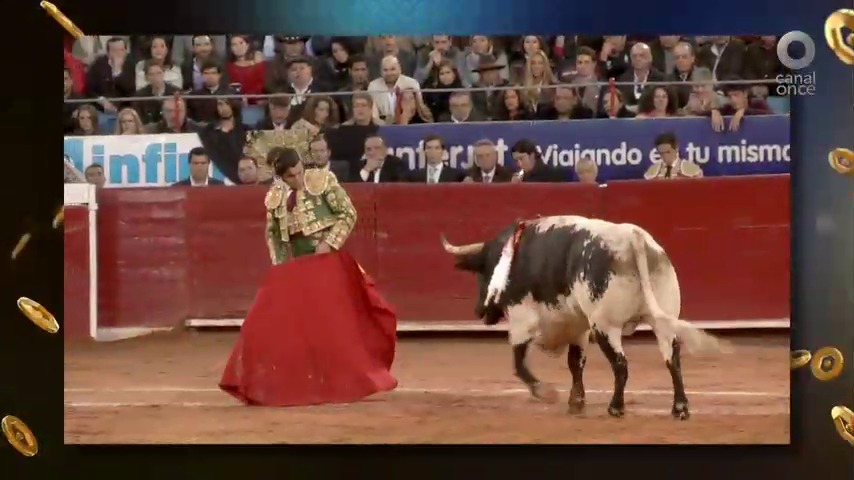 Morante de la puebla en el estudio