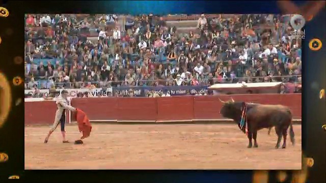 Resumen y entrevistas de la corrida en la Plaza México del 19 de enero 2014