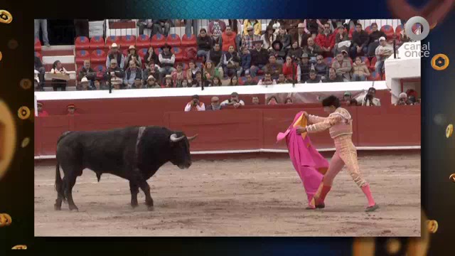 Triunfo de Fandiño en Pachuca