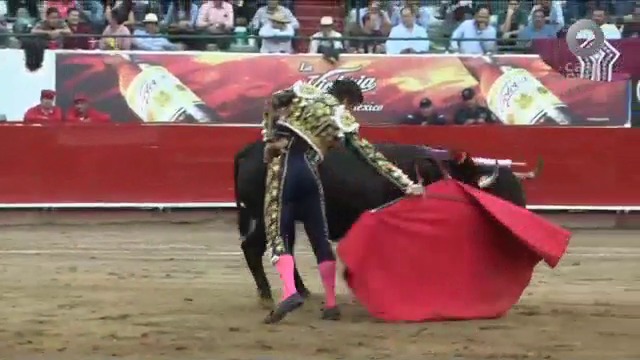 Triunfo de Luque en Guadalajara