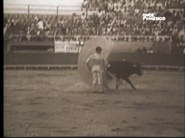 Pablo Hermoso De Mendoza En La México