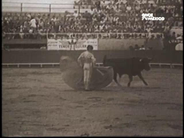 Toros Su En La Ciudad De México