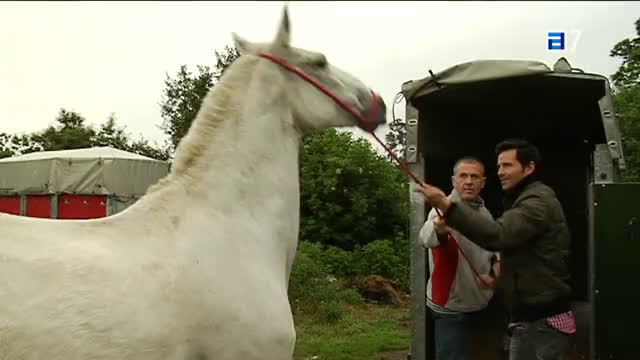El susurrador de caballos (Domingo, 09-10-2011)