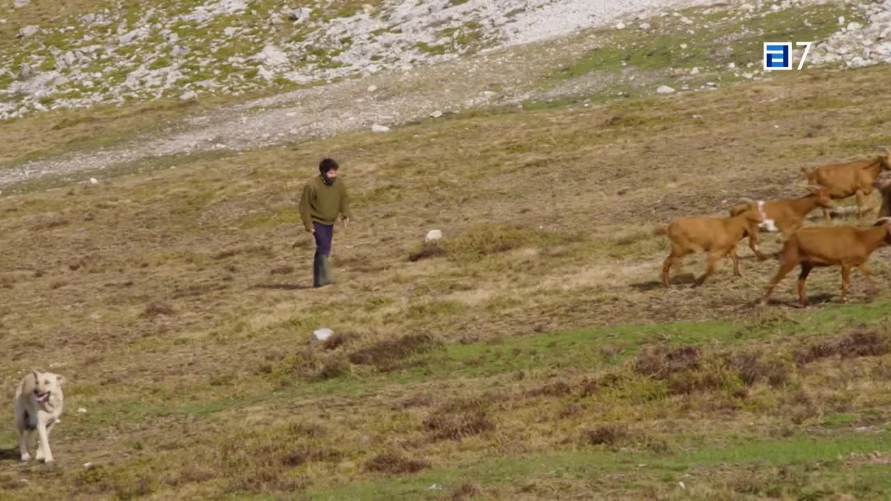 Resumen de la temporada (Sábado, 25-06-2022)