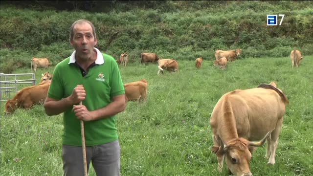 T.1 Cap. 14 (Jueves, 07-09-2017)