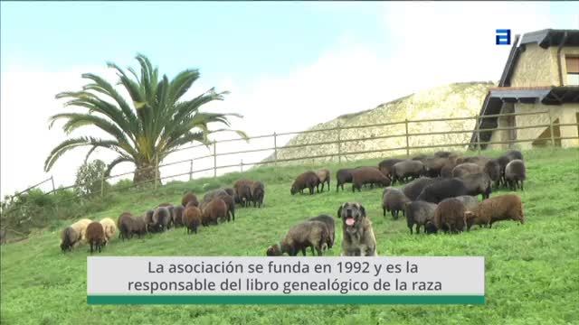 T.1 Cap. 36 (Lunes, 09-10-2017)