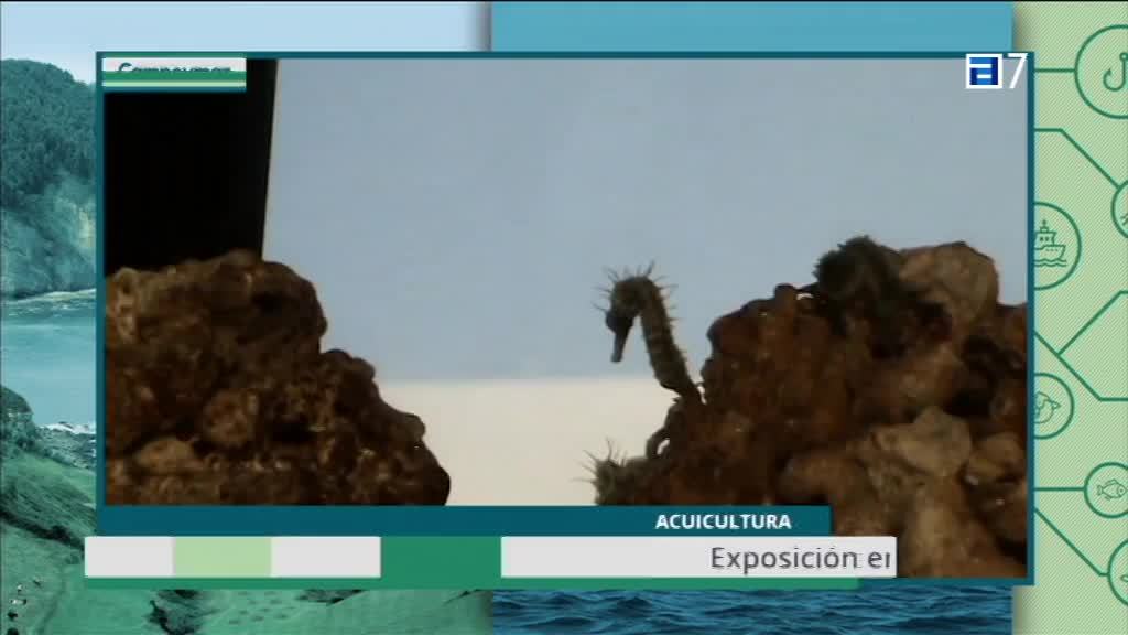 T.1 Cap. 39 (Jueves, 12-10-2017)