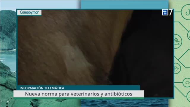 T.2 Cap. 66 (Jueves, 19-04-2018)