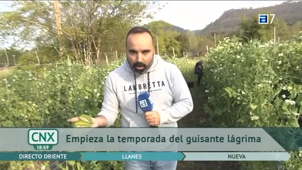 43 Selmana de les Lletres Asturianes (Martes, 03-05-2022)