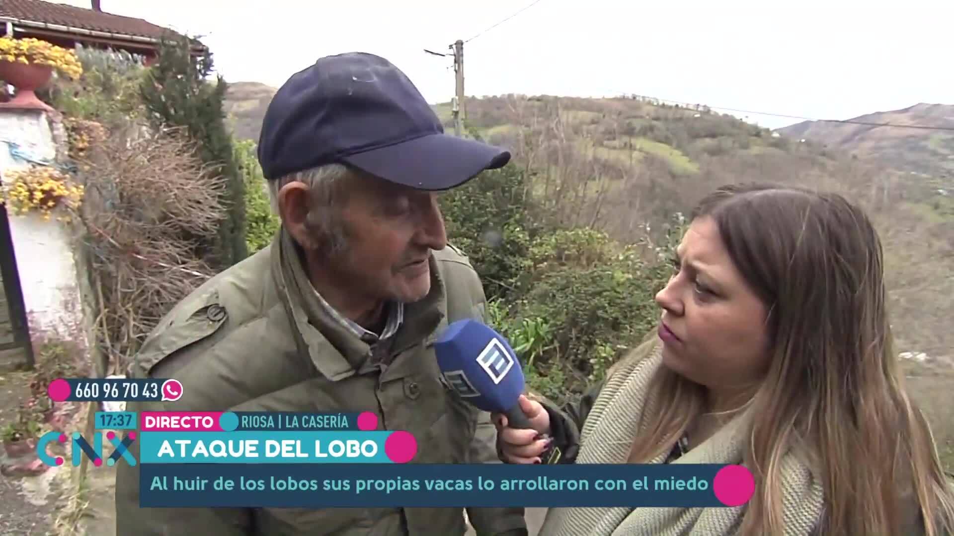 Ataque del lobo (Jueves, 07-03-2024)