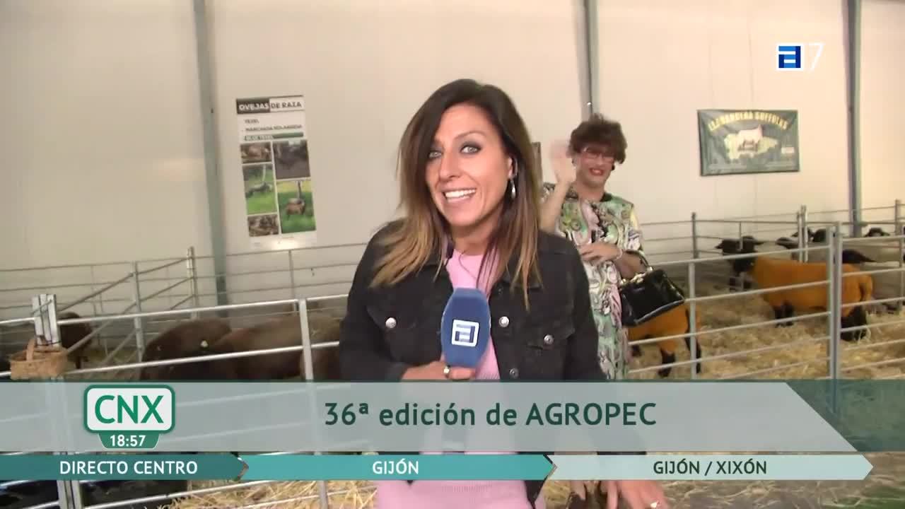 Bienvenido otoño (Viernes, 23-09-2022)
