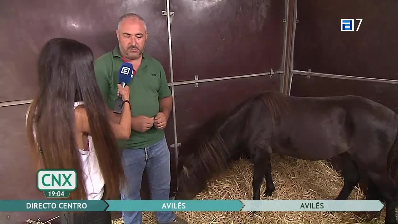 Certamen de Ganado de San Agustín (Jueves, 25-08-2022)