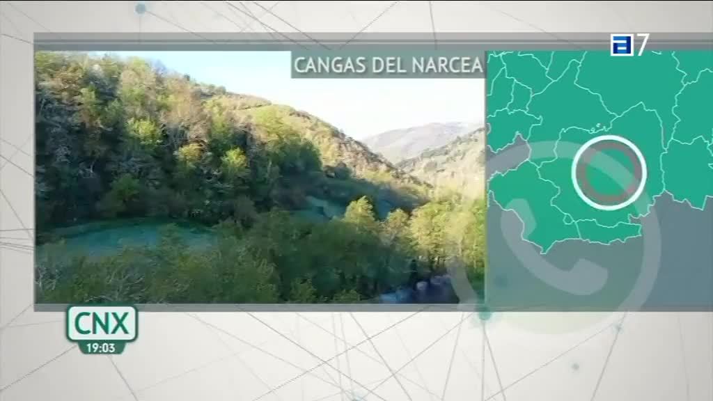 Concurso Subasta Nacional de la Raza Asturiana de los Valles (Jueves, 21-04-2022)