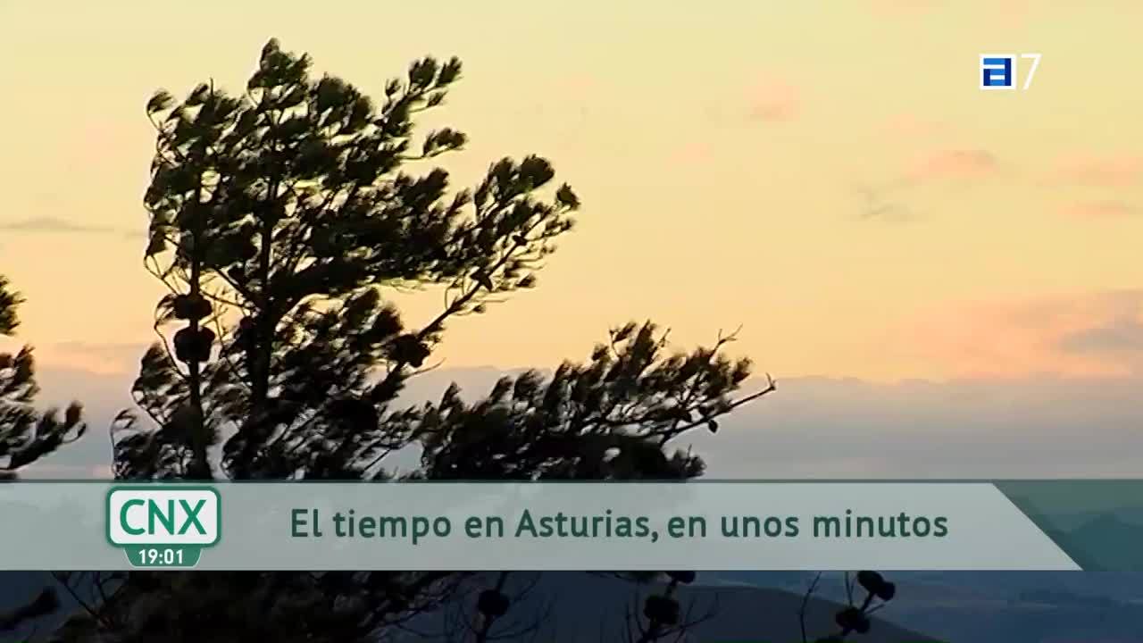 Dia Mundial de la Lucha contra el Cáncer de Mama (Miércoles, 19-10-2022)