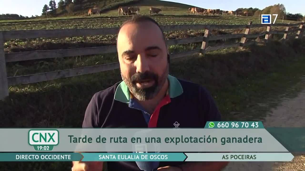 Diabetes y nutrición con 'Don Sacarino' (Martes, 04-10-2022)