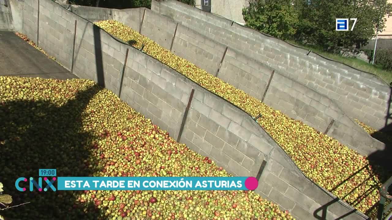 Entre los ocho mejores (Jueves, 28-09-2023)