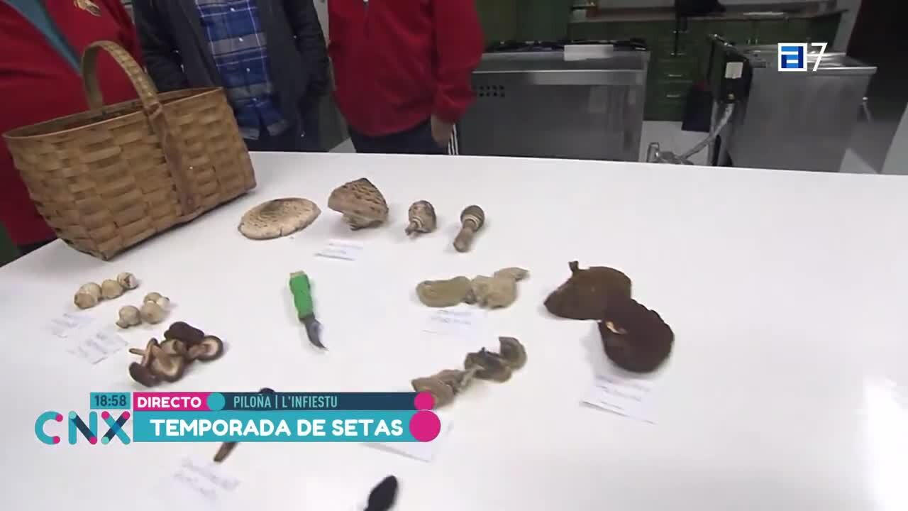 Esta casa mete miedo (Lunes, 30-10-2023)
