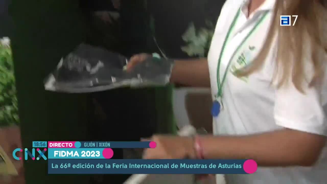 Feria de Muestras de Asturias (Viernes, 11-08-2023)