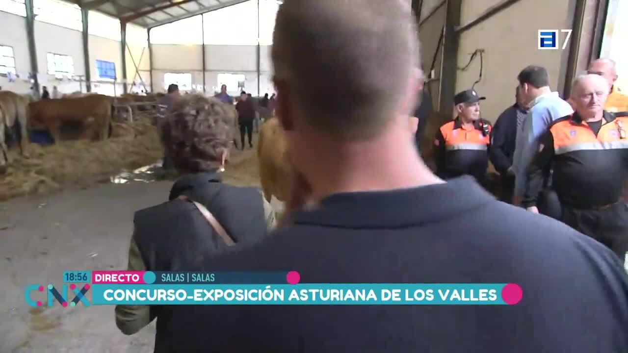Fiesta del Picadillo y el Sabadiego  (Lunes, 24-04-2023)