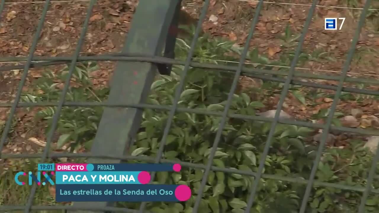 Historias ligadas a la naturaleza (Miércoles, 30-08-2023)