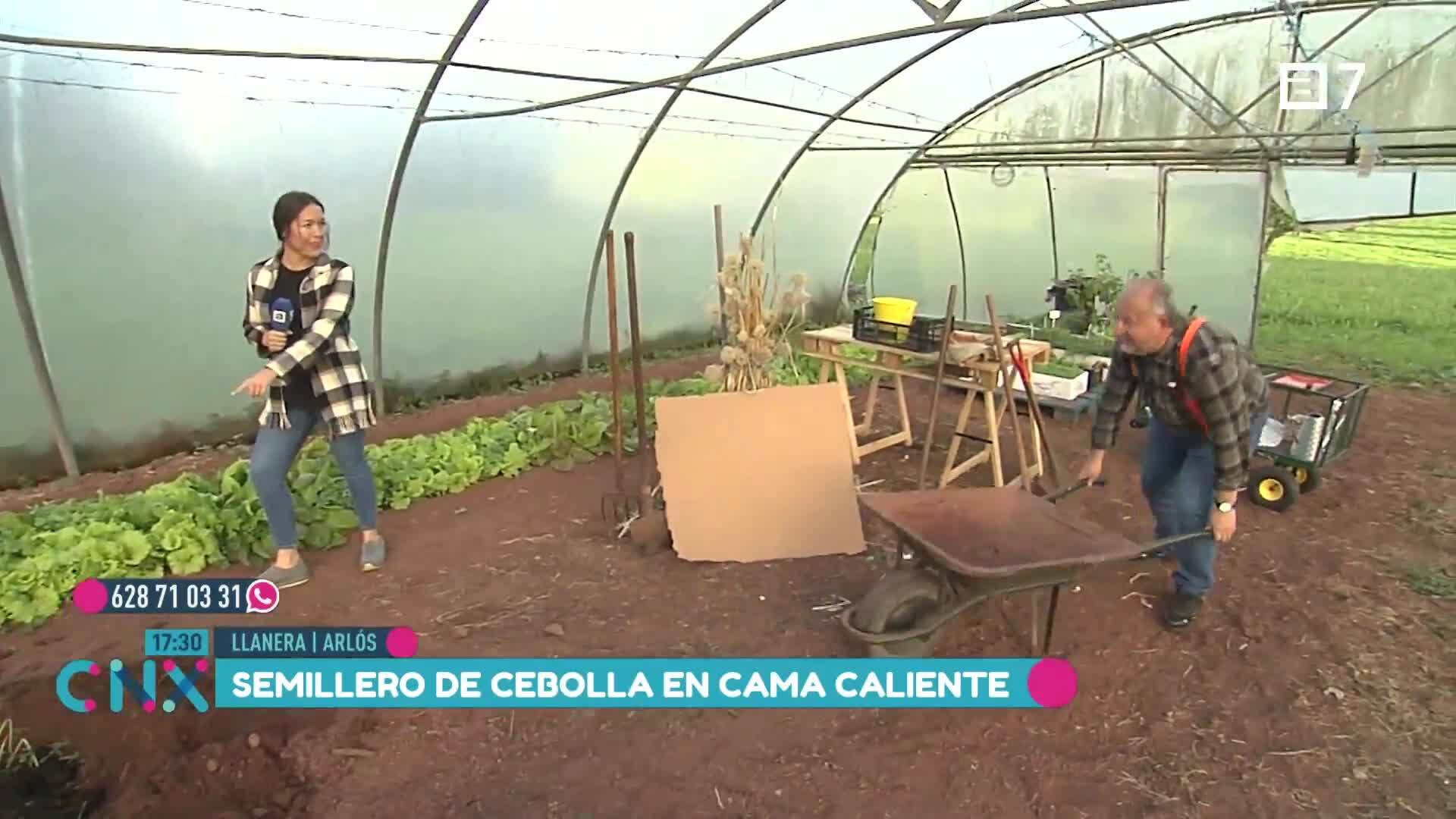 (Jueves, 07-11-2024)