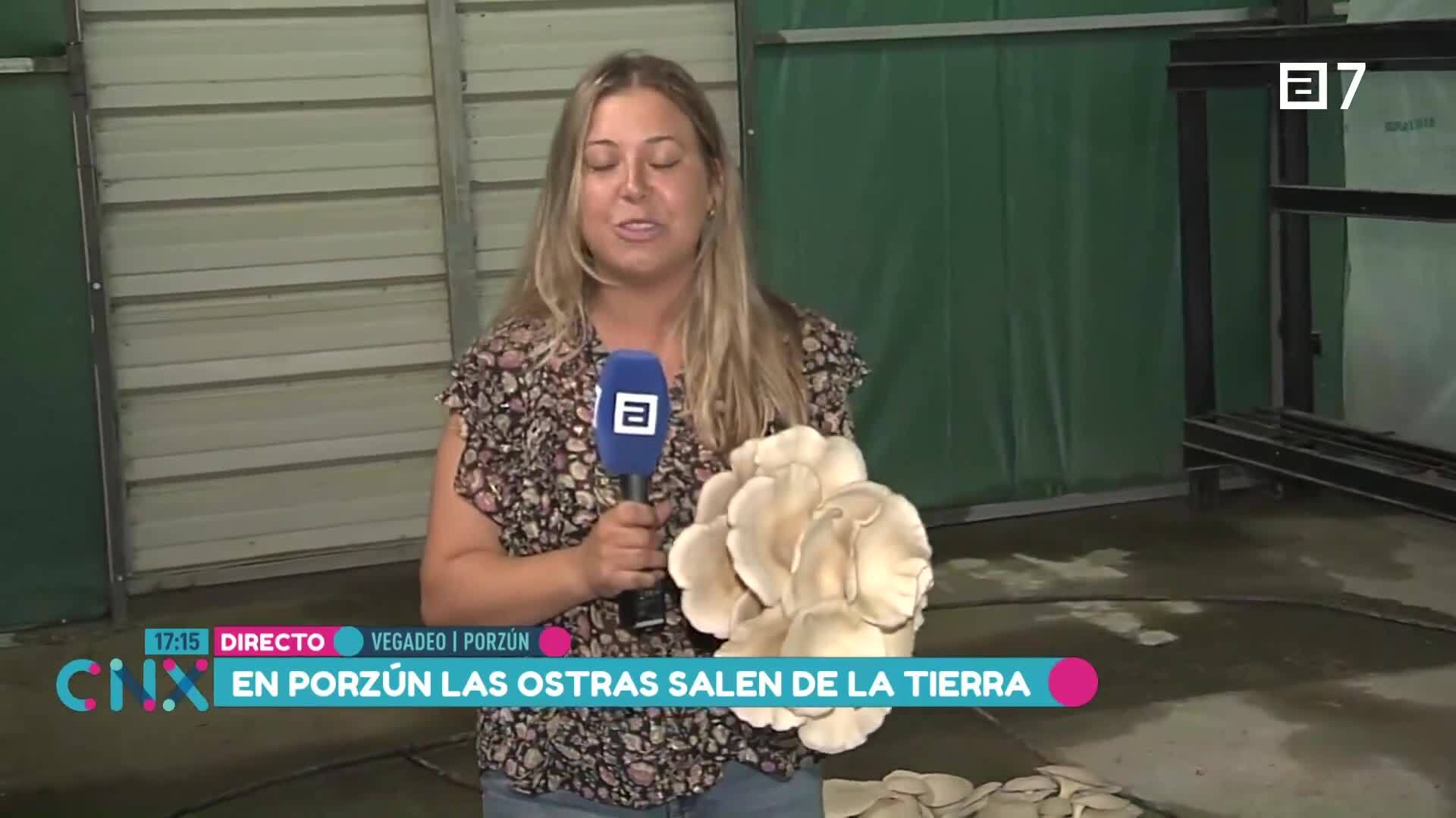 (Jueves, 08-08-2024)