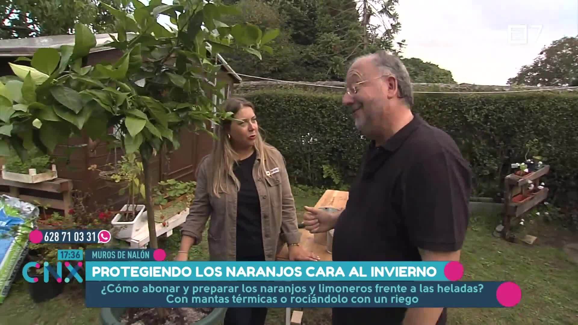 (Jueves, 10-10-2024)