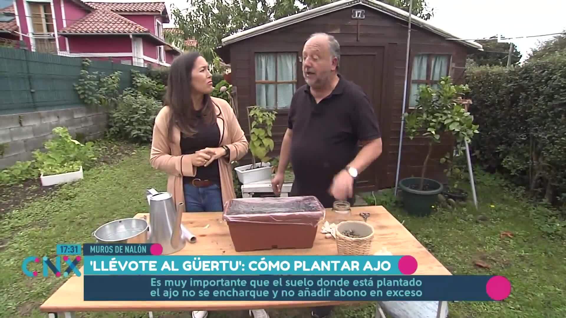 (Jueves, 17-10-2024)
