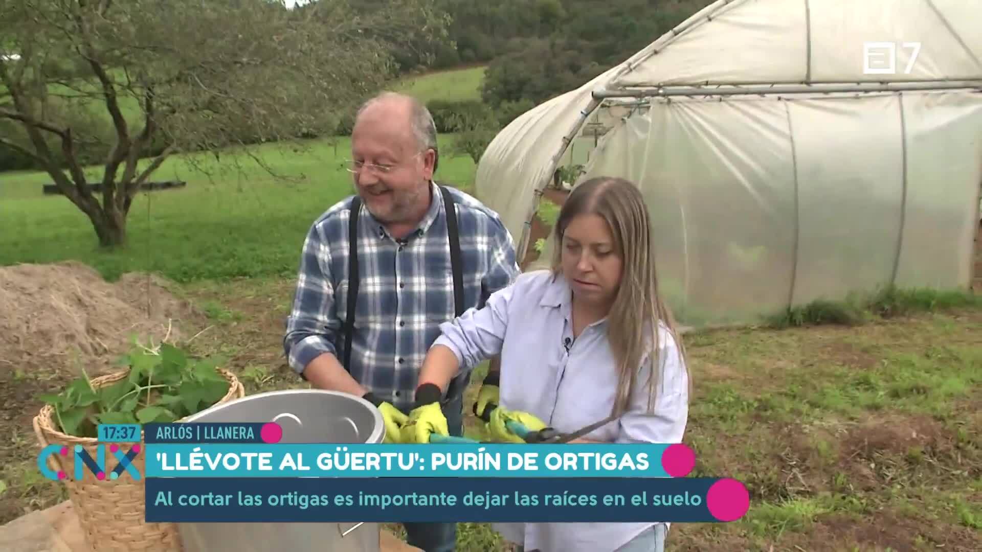 (Jueves, 24-10-2024)