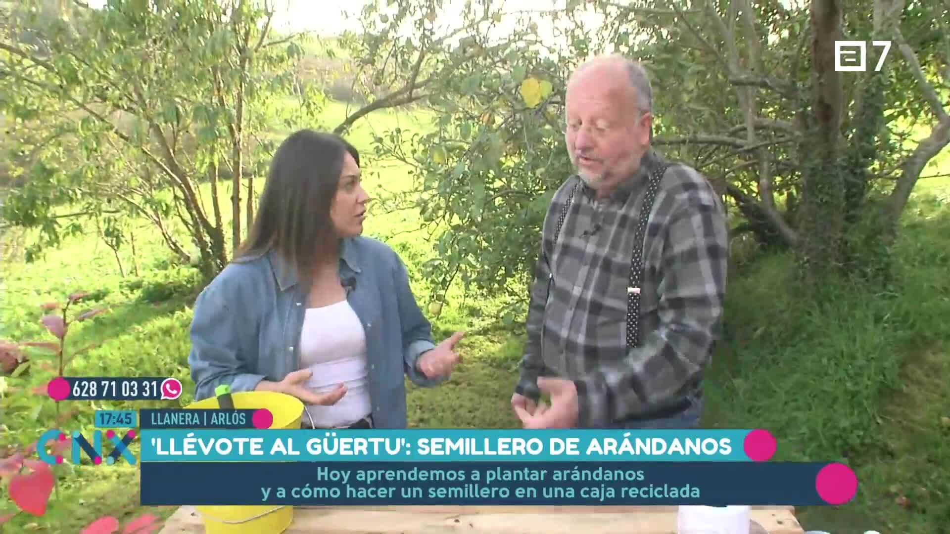 (Jueves, 28-11-2024)