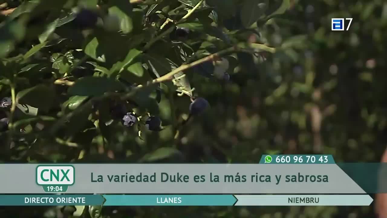Llega el tiempo veraniego a Asturias (Miércoles, 06-07-2022)