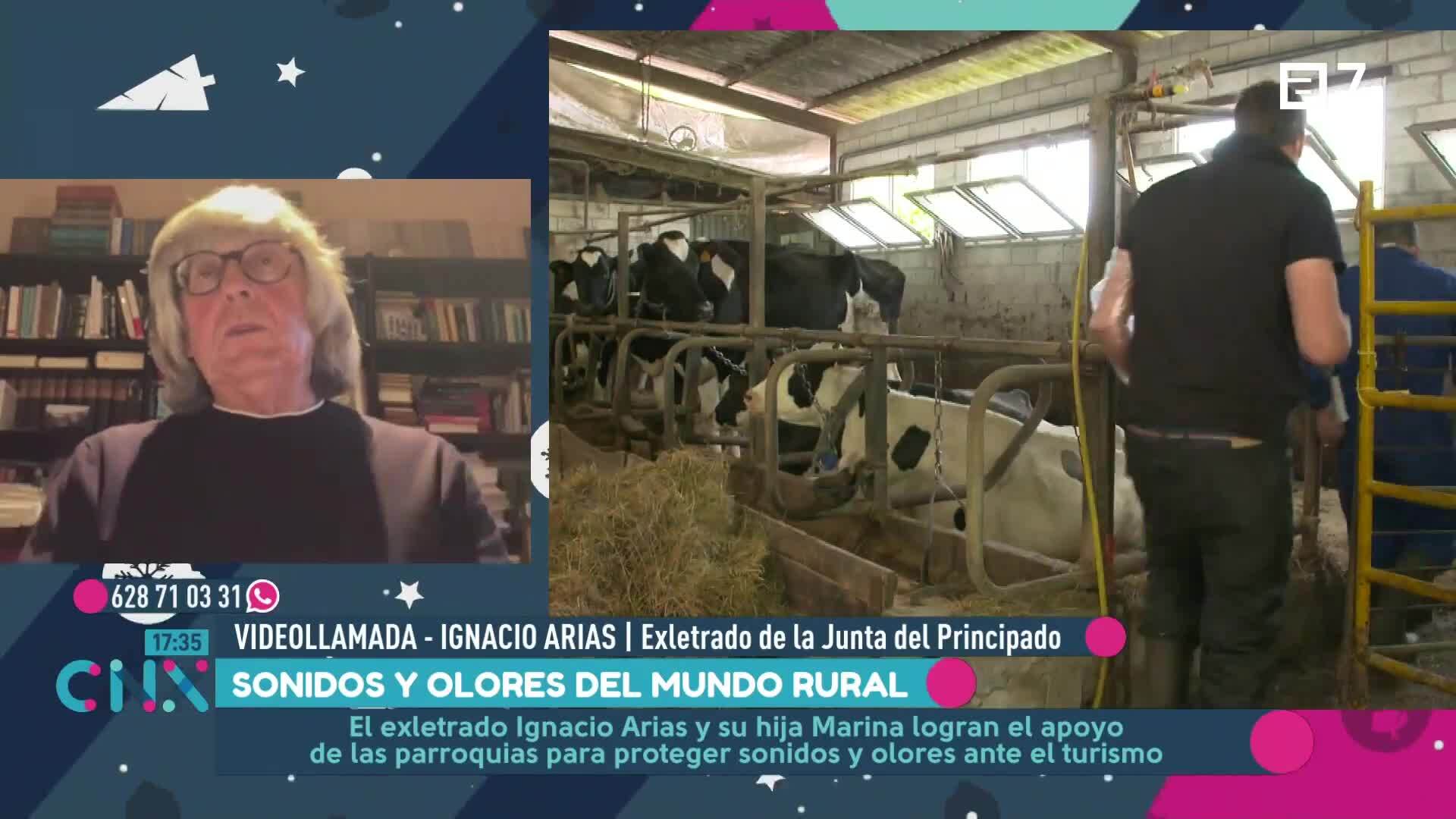 (Lunes, 16-12-2024)