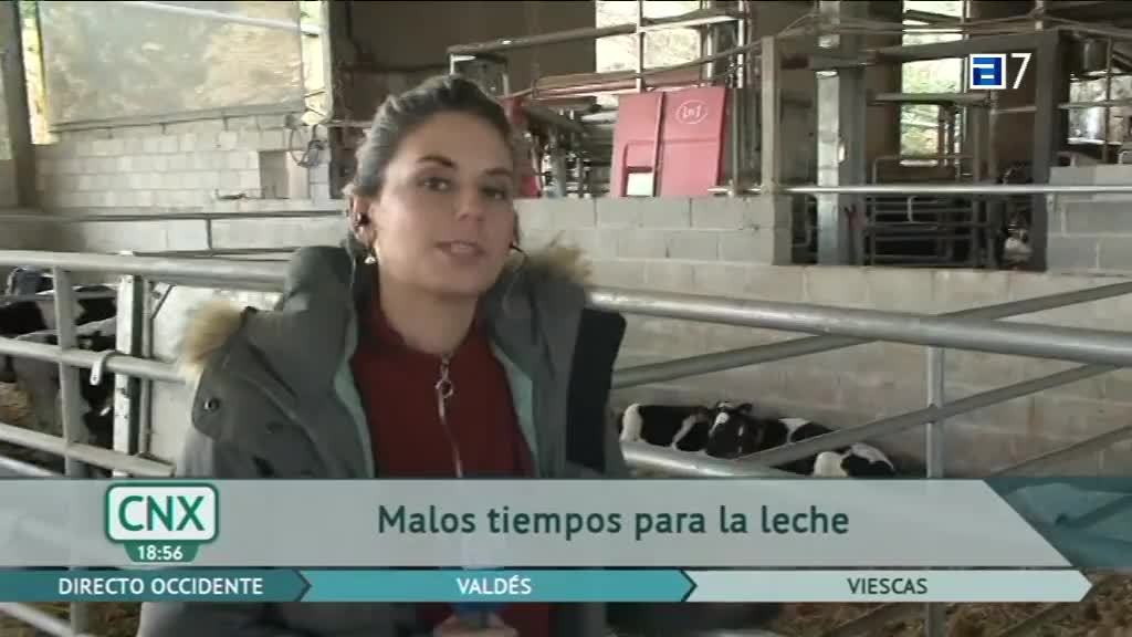 Manifestación por la subida de los precios (Miércoles, 23-03-2022)