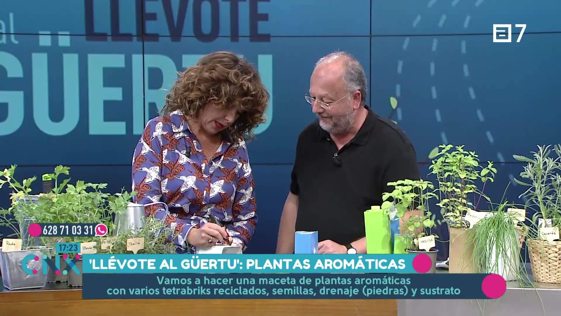 (Martes, 01-10-2024)