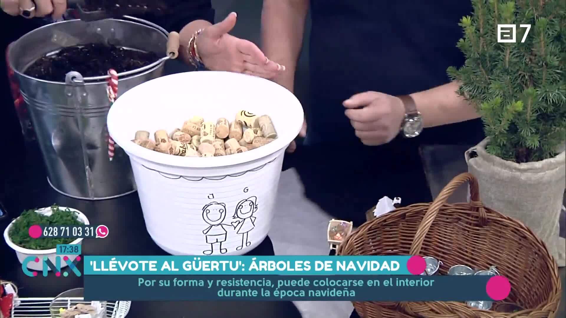 (Martes, 03-12-2024)