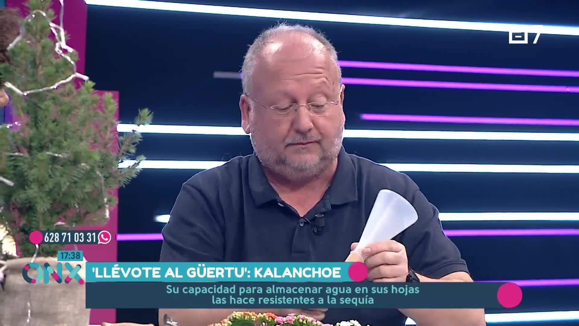(Martes, 10-12-2024)