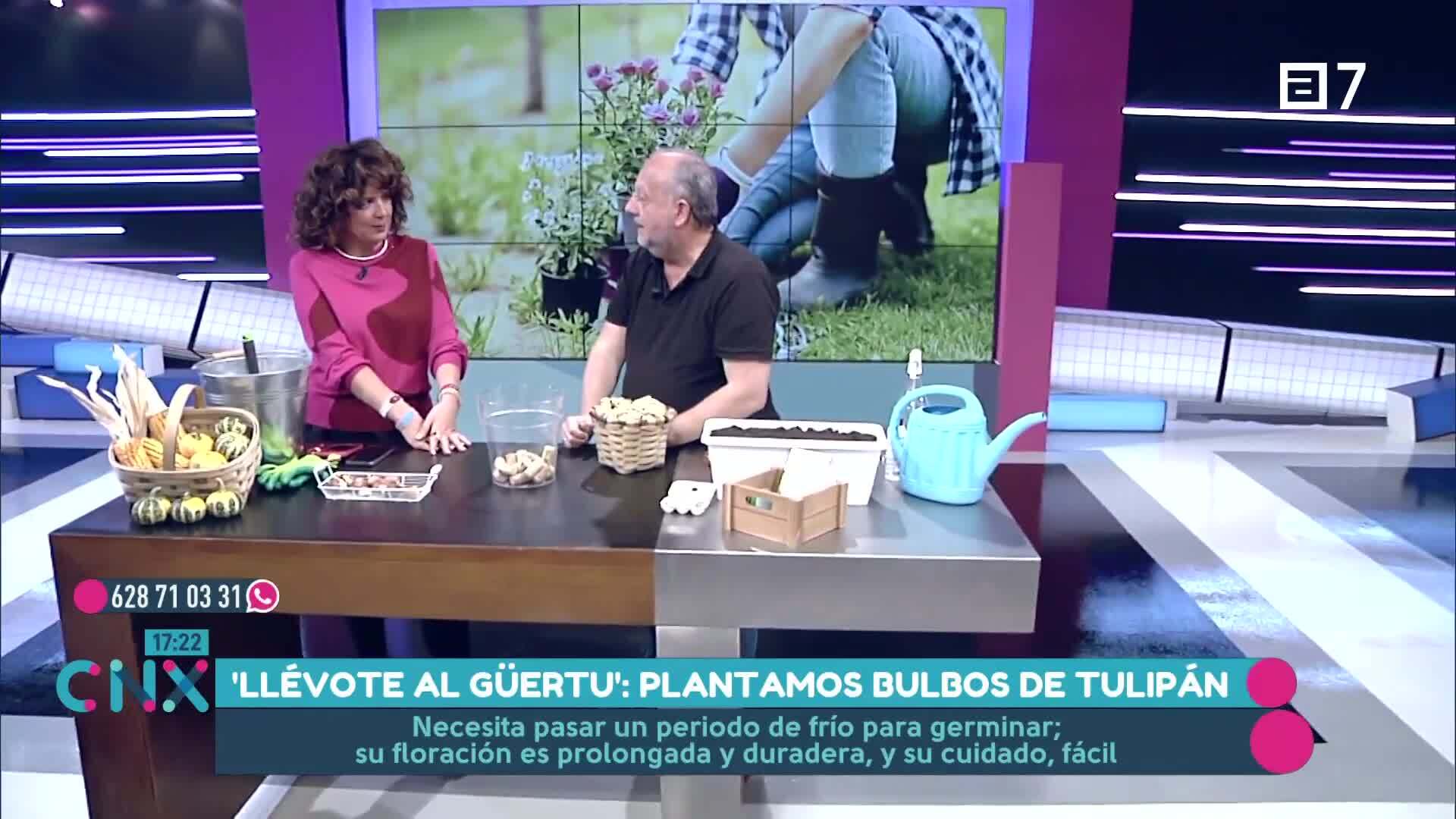 (Martes, 26-11-2024)