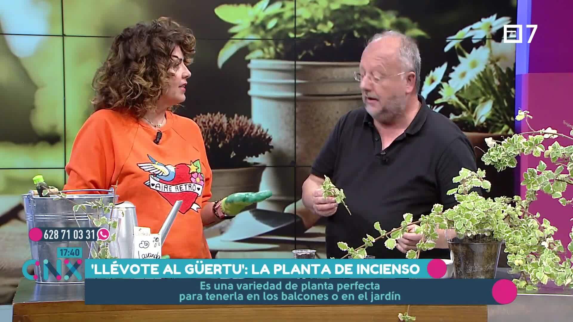 (Martes, 29-10-2024)