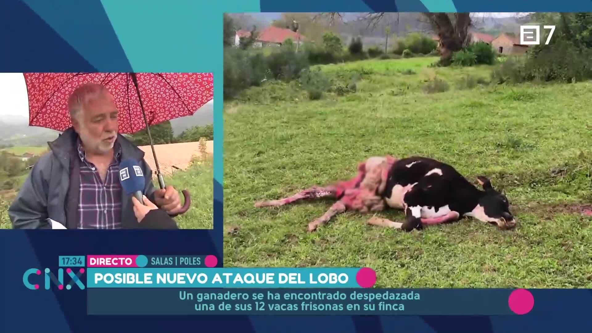 (Martes, 30-04-2024)