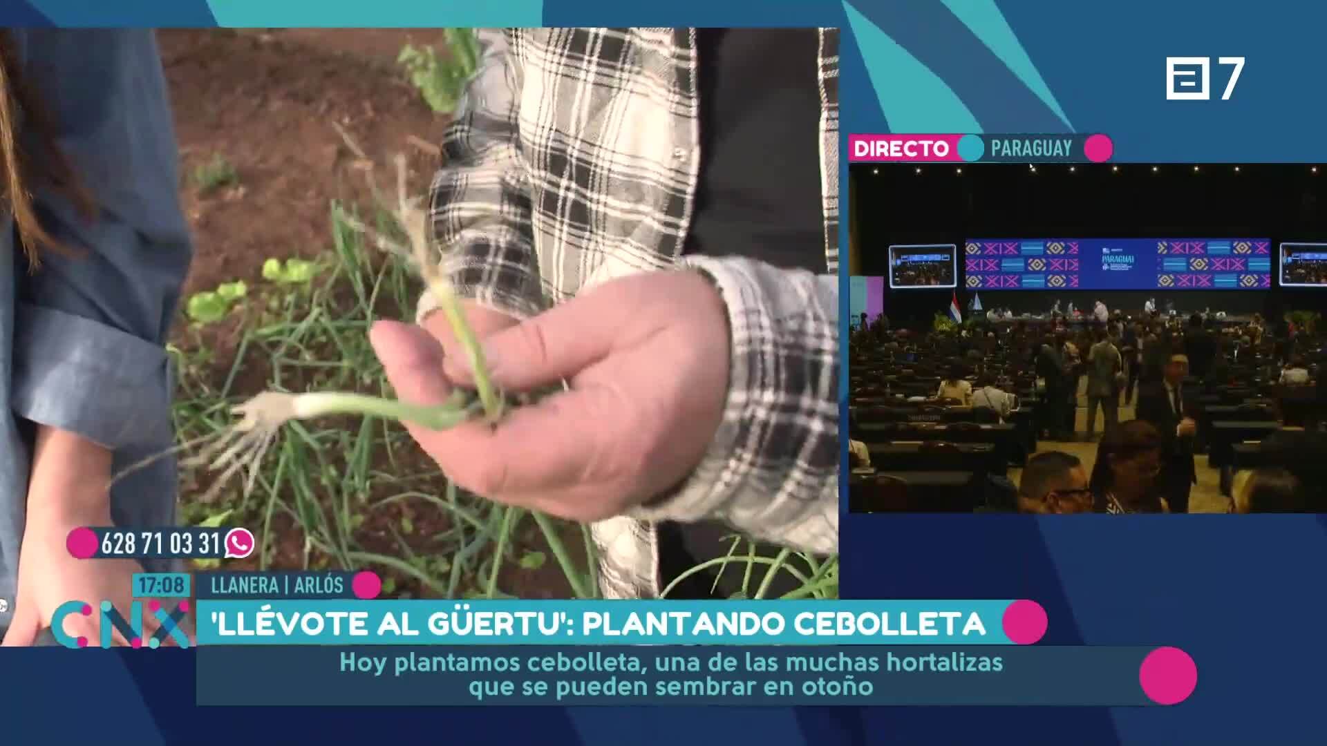 (Miércoles, 04-12-2024)