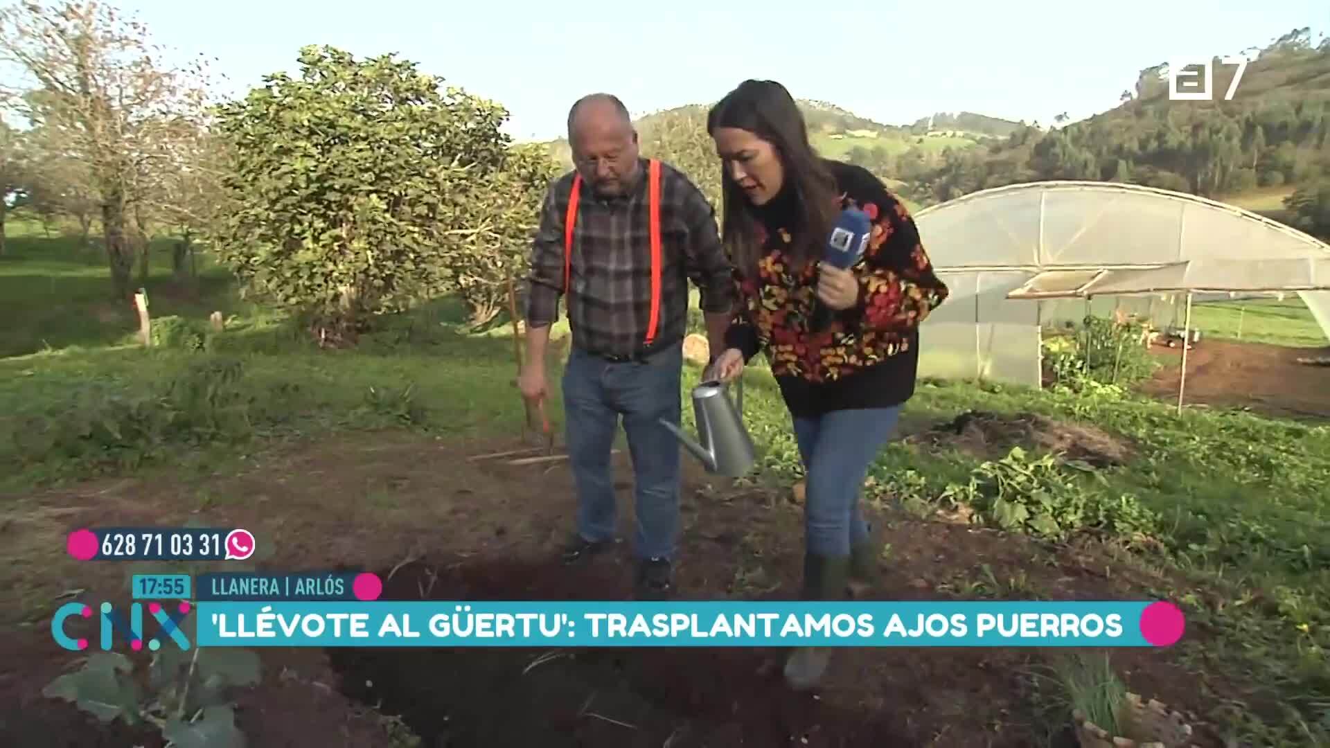 (Miércoles, 06-11-2024)