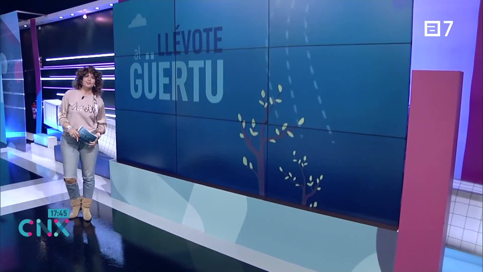 (Miércoles, 09-10-2024)