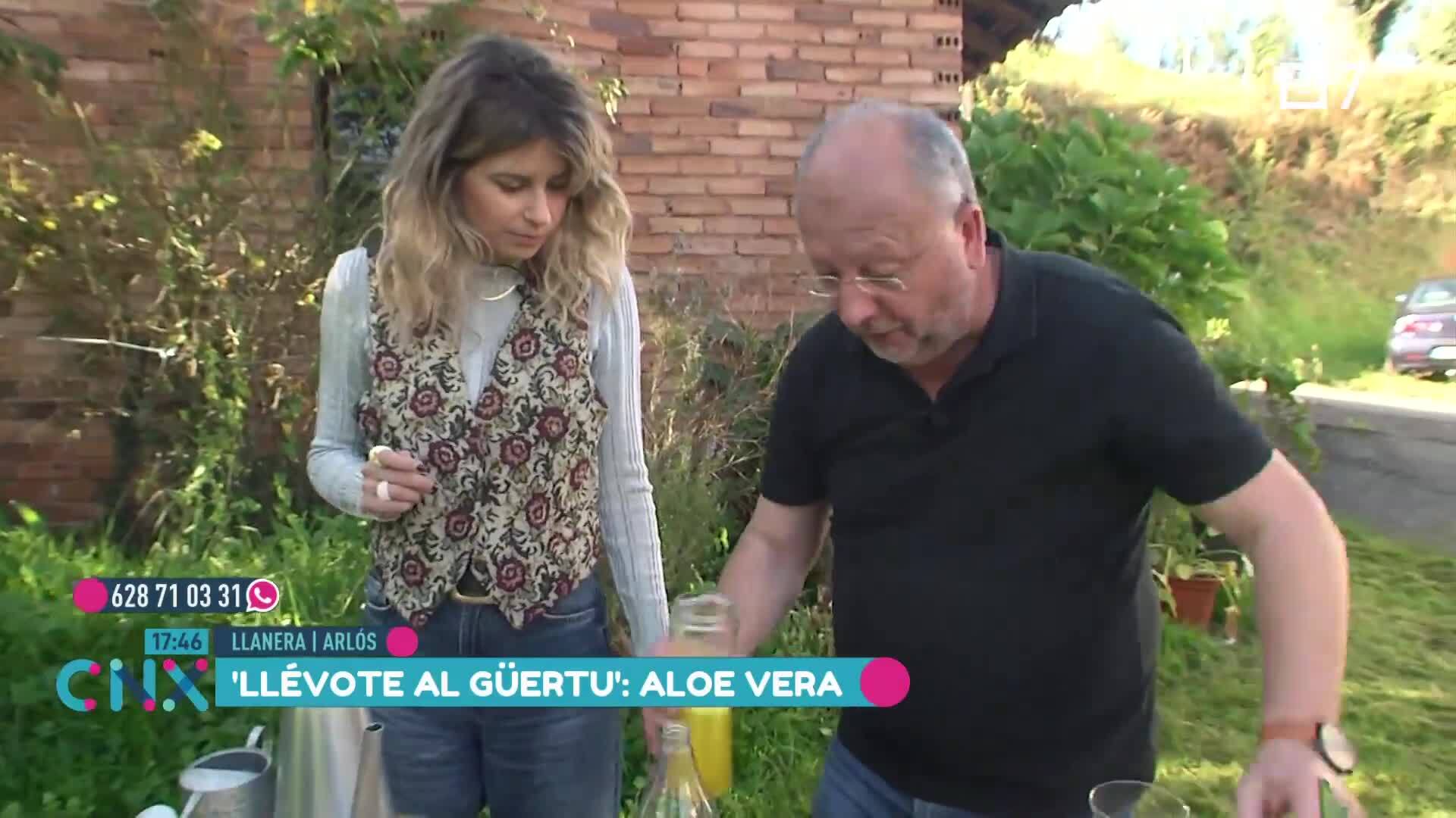 (Miércoles, 13-11-2024)