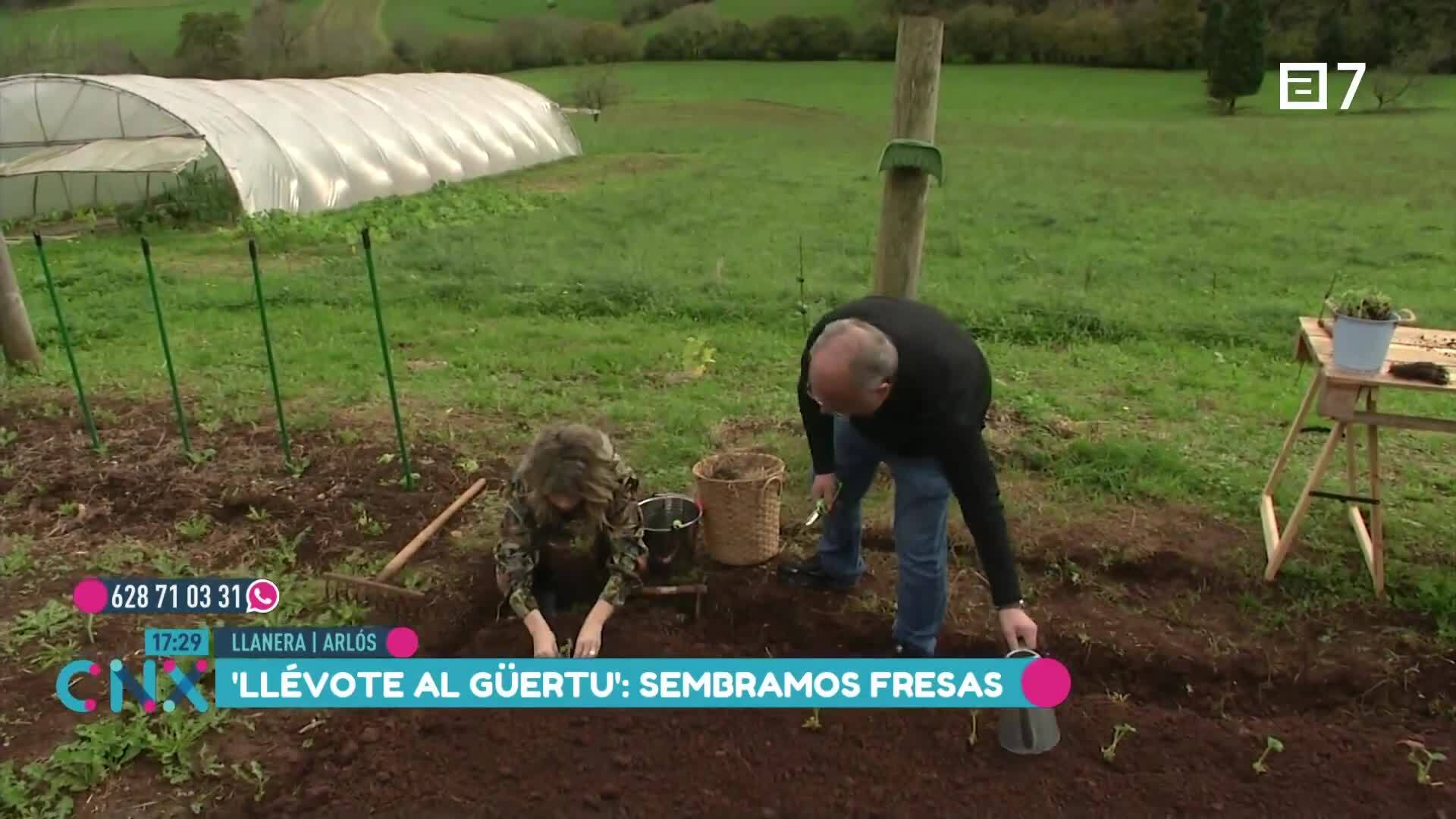 (Miércoles, 18-12-2024)