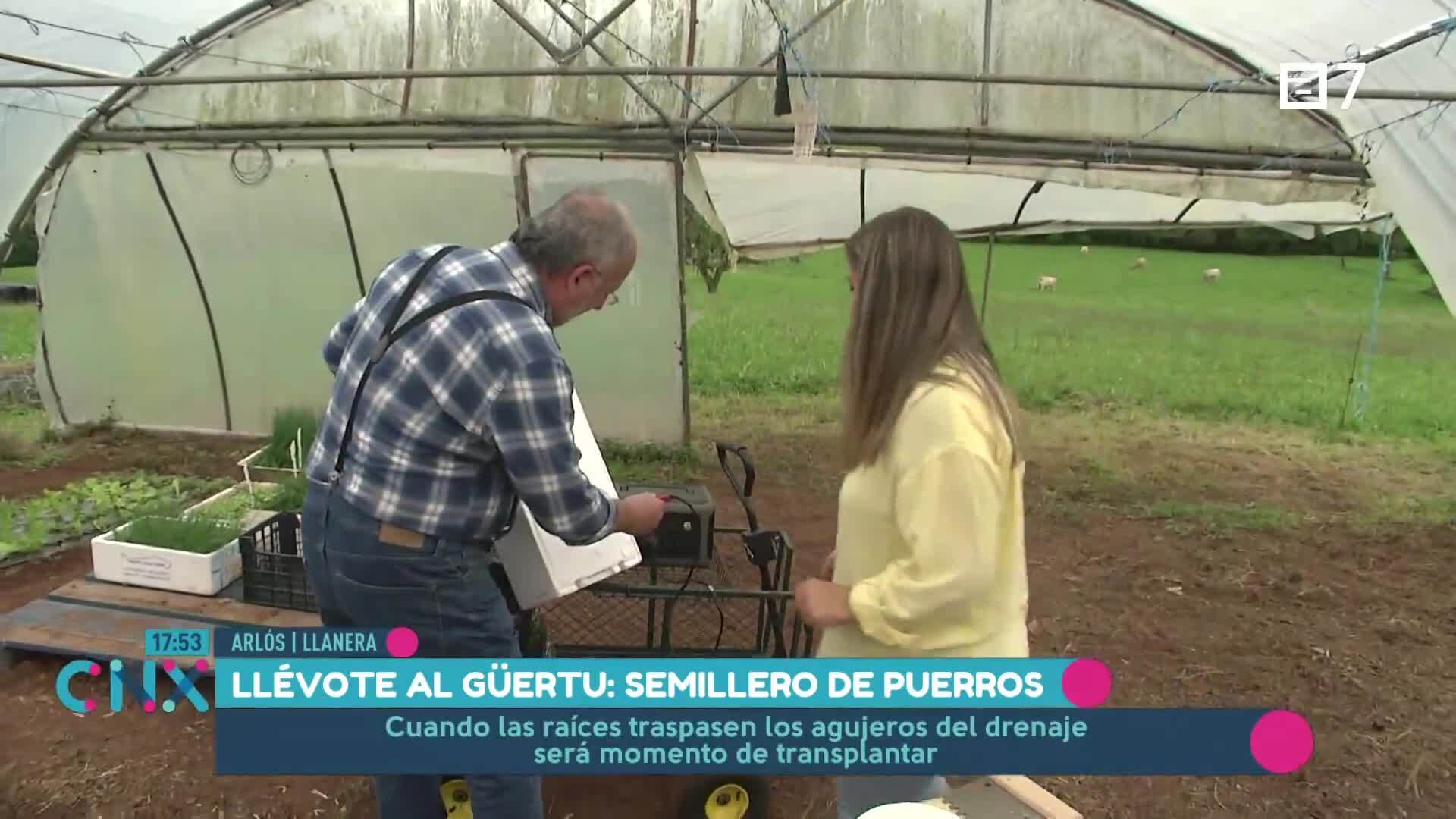 (Miércoles, 23-10-2024)