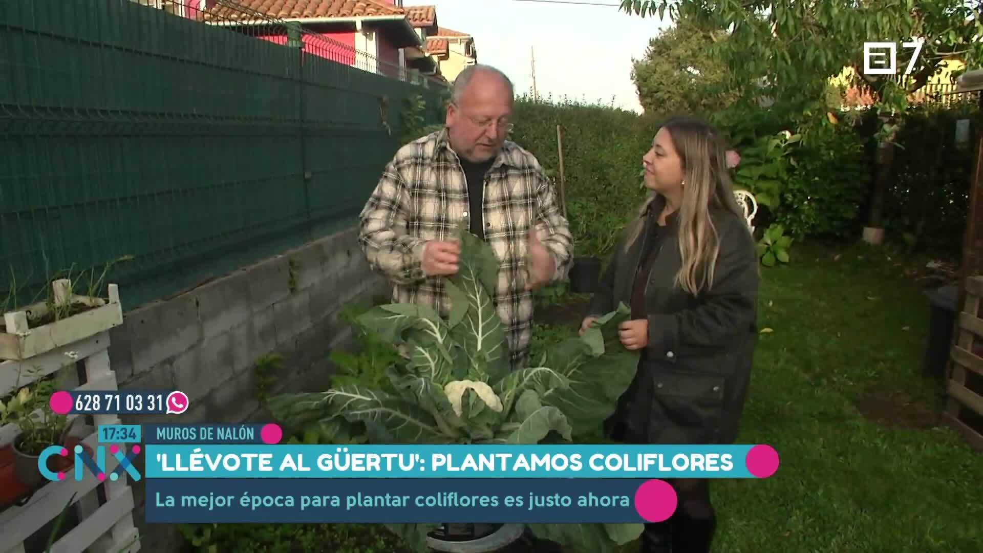 (Miércoles, 27-11-2024)