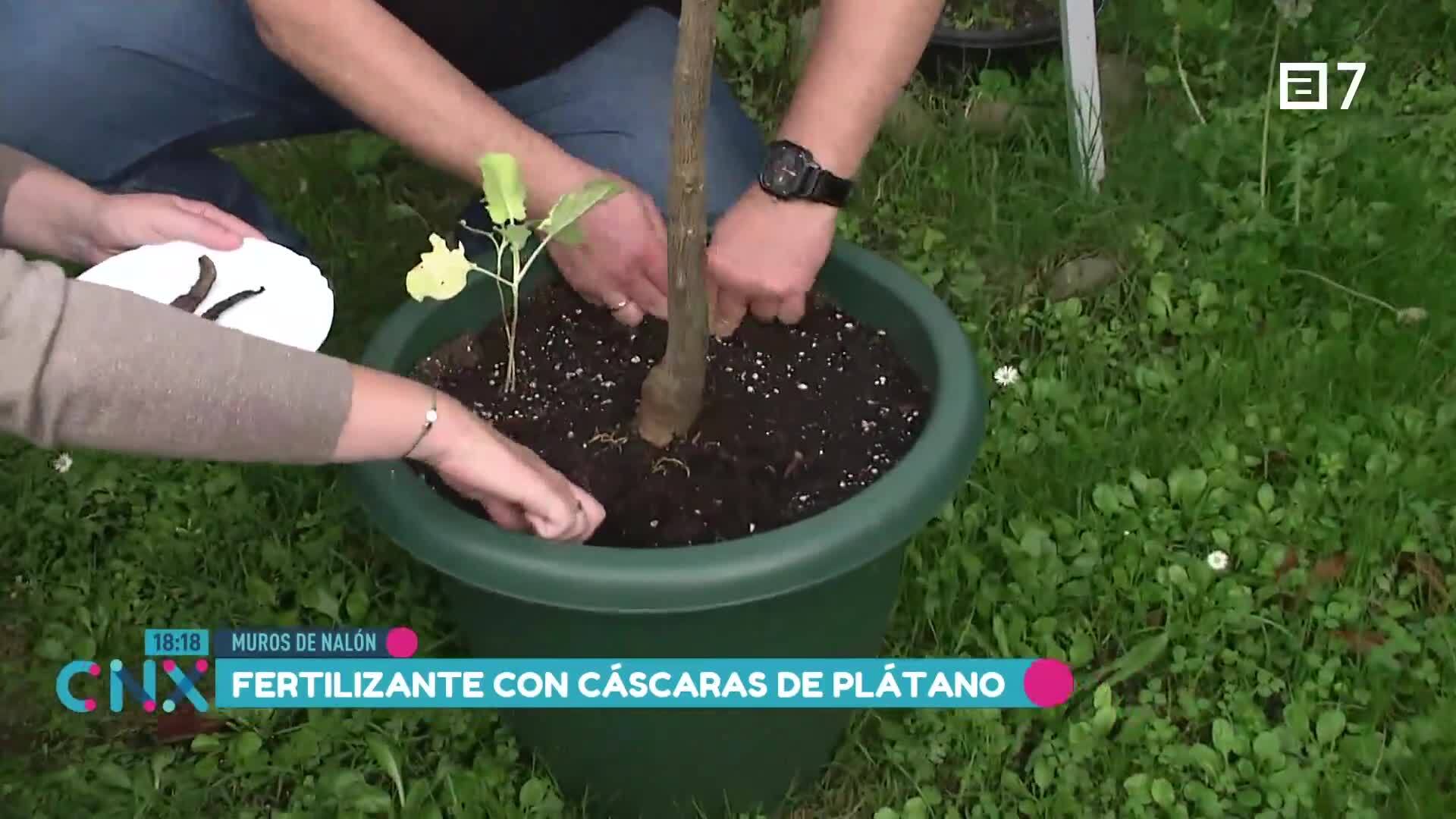 (Miércoles, 30-10-2024)