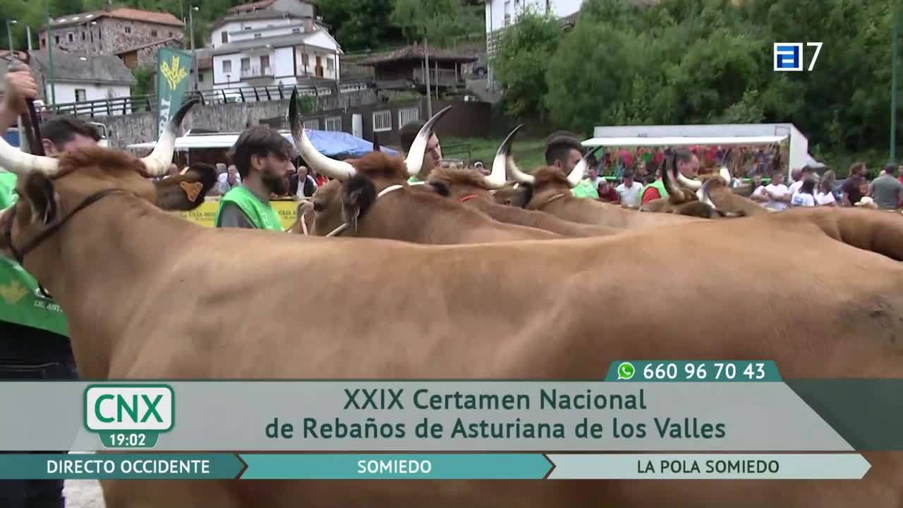 Montecerrao está de fiesta (Martes, 06-09-2022)