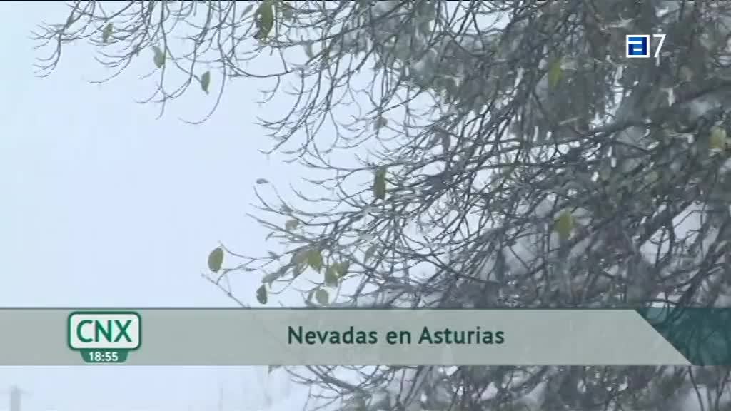 Nevadas en Asturias (Martes, 23-11-2021)